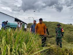 Kejar Target 883 Ribu Ton, Bulog Jatim Agresif Amankan Serapan Gabah di Jombang