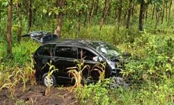 Hindari Kucing, Mobil Avanza Terperosok dan Tabrak Pohon di Hutan Ponorogo