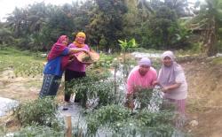 Siba Pembibitan Jadi Awal Usaha Produktif Masyarakat Berpenghasilan Rendah di Desa Tanjung Karangan