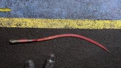 Balap Lari Liar di Ciputat Tangsel Dibubarkan, Polisi Sita Celurit dari Tangan Remaja