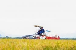 Panen Raya Gamagora 7, Bupati Wahono Targetkan Bojonegoro Jadi Produsen Padi Tertinggi Nasional 2028