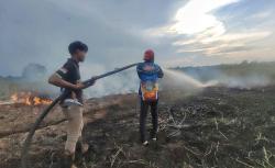 Tim Dalkarhutla Padamkan Kebakaran Lahan 0,16 Hektare di Palangka Raya