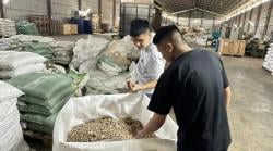 Dari Lantai Produksi ke Gagasan Industrialisasi, Suara Generasi Muda di Sektor Manufaktur