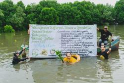 Abrasi Ancam Ekosistem Lingkungan, 1.000 Pohon Mangrove Ditanam di Pesisir Pantai Muara Gembong