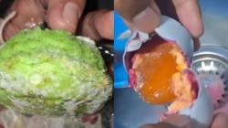 Gizi Anak Diacak-Acak! 47 Dapur MBG Disuspend, Ditemukan Roti Berjamur hingga Telur Busuk