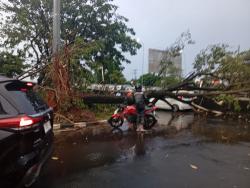 Semarang Porak-poranda Diterjang Hujan Badai, Puluhan Pohon Tumbang Timpa Kendaraan