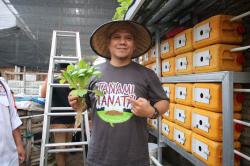 Perkuat Urban Farming, Gerakan Tanami Tanata di Makassar Dapat Dukungan Strategis