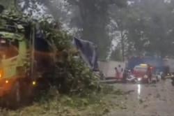 Tragedi di Alas Roban, 2 Warga Tewas Akibat Hujan Badai dan Pohon Tumbang