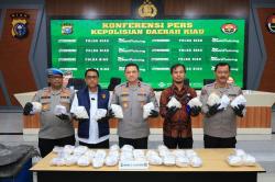 Polda Riau Bongkar Sindikat Heroin Rp68 Miliar di Kebun Sawit dan Kebun Cabai