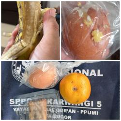 MBG di Sekolah Bogor Disorot: Siswa Diduga Terima Buah Busuk dan Telur Hancur