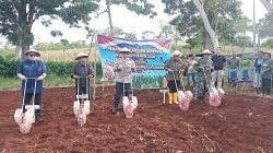 Dukung Asta Cita Presiden, Polres TTS Tanam Jagung Serentak di Kawasan Buat