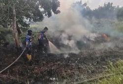 Kebakaran Lahan 0,17 Hektare di Jalur Trans Kalimantan Berhasil Dipadamkan Tim Dalkarhutla