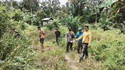 3 Ekor Sapi Warga Tapango Raib, Polisi Temukan Jejak Ban di TKP