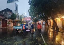 Hujan dan Angin Robohkan Pohon di Karanggetas, Polisi Bersama Tim Gabungan Bergerak Cepat Evakuasi