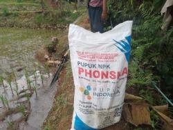 Petani Lebak Dipastikan Tak Kekurangan Pupuk Subsidi hingga Akhir 2026