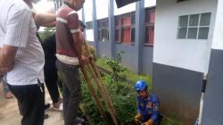 Heboh! Ular Sanca 4 Meter Nyaris Masuk Kelas di SMAN 13 Garut