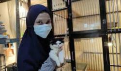 Jangan Asal Pergi! 5 Cara Cerdas Tinggalkan Hewan Peliharaan Saat Mudik Lebaran