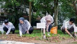 Lahan Kantor Disulap Jadi Kebun Produktif, Barru Canangkan Gerakan ASN Menanam Cabai