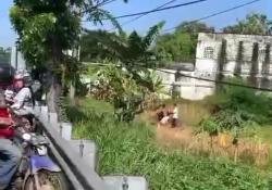 Nasib Tragis Pria Lansia Ini, Dibacok Pemuda saat Cari Rumput di Jombang