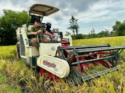 Jelang Lebaran 2026, Serapan Gabah Bulog Jatim Tertinggi Nasional, Petani Dapat Kepastian Harga