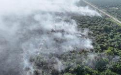 Jalur Mudik Riau-Sumut Terancam Asap, 50 Hektare Lahan di Rantau Bais Terbakar