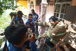 Masuk Atap Gudang Warga Probolinggo, Biawak Besar Berhasil Dievakuasi Damkar