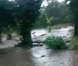 Dampak Banjir Oekopa, 2 Hektare Lahan Sawah Rusak Petani Terancam Gagal Panen