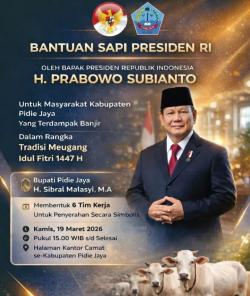 Bantuan Presiden Prabowo Mengalir ke Aceh: Pidie Jaya Terima Rp4,9 Miliar untuk Sapi Meugang