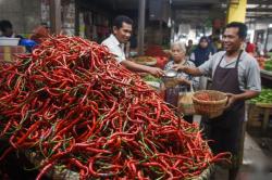 Harga Cabai di Cianjur Tembus Rp120 Ribu per Kilogram