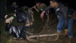 Ngeri! Ikuti Maps Pemudik Nyasar Masuk Hutan Gelap, Mendadak Hujan Deras