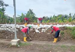 Respons Dampak Hujan Ekstrem di Tembalang, Pemkot Semarang Gerak Cepat Perkuat Tanggul Kali Babon