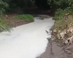 Terungkap! Sisa Uji Coba Buburan Kertas Jadi Pemicu Fenomena 'Sungai Putih' di Ciampel