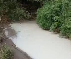 Geger Video Sungai Putih di Ciampel, DLHK Karawang Uji Sampel: Benarkah Limbah Industri?