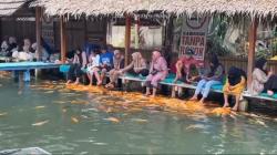 Ramai Saat Libur Lebaran, Wisata Pelang Tawarkan Serunya Terapi Ikan