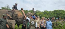 Tekan Konflik Berdarah! Pembatas Gajah di Way Kambas Akhirnya Dibangun