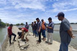 Bukan Sekadar Kunjungan, Pantai Pulau Putri Bidik Standar Keselamatan dan Kelestarian