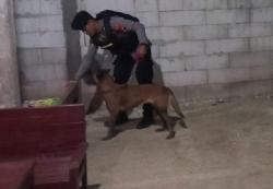 Polres Grobogan Terjunkan Unit K-9, Lokasi Ledakan Petasan di Rumah Kosong Ngraji Purwodadi Aman