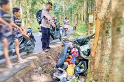 Jalan Licin, Motor Dinaiki 4 Orang Hantam Pohon di Bubulan Bojonegoro
