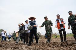 Gubernur Herman Deru Klaim Sumsel Berhasil Realisasikan 18.000 Hektare Program Cetak Sawah