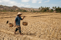 Musim Kemarau 2026, Ancaman Kekeringan Intai Jatim