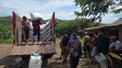 Bulog Klaim Siap Serap Gabah, Petani Cikawung Masih Terkendala Distribusi