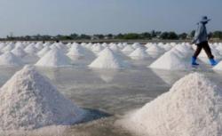 Ekspansi ke Frankfurt, Garam Lokal Ini Bidik Pasar Eropa dan Bawa Harapan Industri Nasional