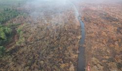Karhutla Riau, 900 Hektare Lahan di Pelalawan dan Bengkalis Terbakar