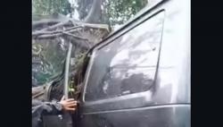 Pohon Tumbang di Caringin Bandung Tewaskan Pengemudi Suzuki Carry