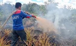 Kebakaran Lahan di Kelurahan Bukit Tunggal Palangka Raya Berhasil Dipadamkan Tim Dalkarhutla