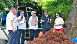 Potensi Rumput Laut Takalar Dilirik Pasar China, Desa Punaga Jadi Sorotan