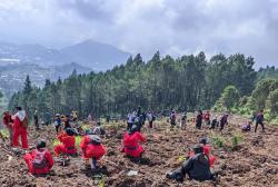 Aksi Hijau di Lereng Slamet, Komunitas Patanjala Purbalingga Tanam 5.000 Pohon