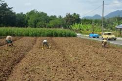 Waspada Penipuan Petugas Ukur Tanah, Masyarakat Diimbau Cek Identitas Kedinasan dan Surat Tugas