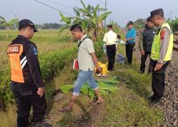 Tertemper Kereta Api, Lansia di Pemalang Tewas Seketika
