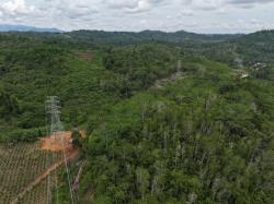 PLN Gandeng Kantah Berau, Perkuat Legalitas Lahan Tower Transmisi 150 kV